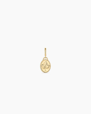 Ivy Parker Charm